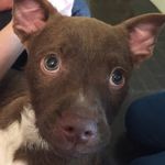 @kane_walters16 - Instagram