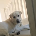 _kane_ Ward - @_kane_ward - Instagram