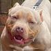 Kane Watson - Facebook