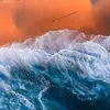 braydenkanewebster - @braydenkanewebster - TikTok