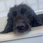 Kane Webster - @kanewebster6298 - Instagram