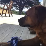 kanewebster - @kanewebster1 - Instagram
