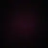 kane.webster - @kane.webster0 - TikTok