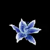 Name? - @kanenwilkinson - TikTok