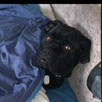 Kane Wright - @kanewright2022 - Instagram