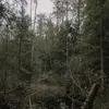 wrightkane701 - @wrightkane701 - TikTok