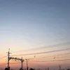 kane_wu - @user2zocljcfrwta - TikTok