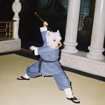 York Kane - @yorkkane7 - Instagram