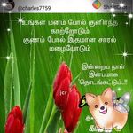 கனேசன் நெல்லையப்பன் - @nellaiappananju - Instagram