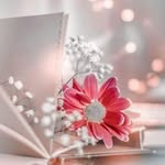 kaneez  malika - @kaneezmalika - Instagram