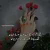 Kaneez Malik - @kaneezmalik - TikTok