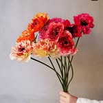 Kaneez Raza - @sofia.william.315 - Instagram