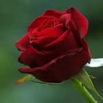 Kaneez Raza - @kaneez.raza.5074 - Instagram