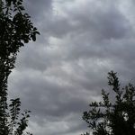 Nk_131198 - @kaneisha_rossler - Instagram