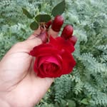 Kanika Verma - @kanika___verma_33 - Instagram
