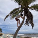 Kanon Collins - @collinskanon - Instagram