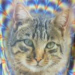 Kanon Mathew Collins - @sonicat14 - Instagram