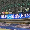 chunichi.kansen1216 - @chunichi.kansen1216 - TikTok