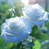 Kanta islam - @user8636374098076 - TikTok