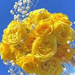 Kanta Islam - Facebook