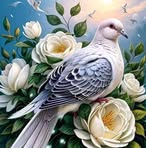 Kanta Islam - Facebook
