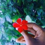 Kanta Tailor - @kanta.tailor.50 - Instagram