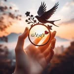 Kanwal Ali - @kanwallali - Instagram