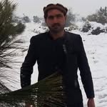 Bawari Lakanwal - @bawarilakanwal - Instagram