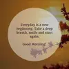Kanwal Hamid - @kanwal.hamid3 - TikTok