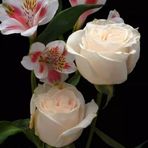 Kanwal Raza - Facebook