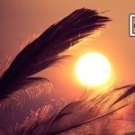 Kanwal_Rizvi - @kanwal_rizvi5 - Instagram