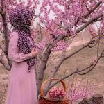 Kanwal Rizvi - @kanwalrizvipk - Instagram
