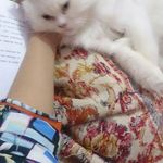 kanwal rizvi - @kanwal_rizvi9 - Instagram