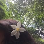 Kanwal Saeed - @kanwal__saeed - Instagram