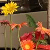 kanwal_saeed - @kanwal_saeed - TikTok