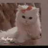 kanwalsaeedahmedghouri78690000 - @kanwalsaeed786 - TikTok