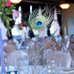 Kamal Sidhu - @kanwal_sidhu - Instagram