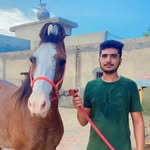 Kanwal Sidhu - @kanwal_sidhu_ - Instagram