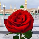 kanwal Usman - @kanwalusman213 - Instagram