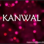 Kanwal Usman - @kanwalusman111 - Instagram