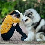 kanwal usman - @kanwalusman28 - Instagram