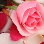 Kanwal Usman - @kanwal.usman.31 - Instagram