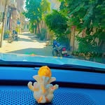 Benny Kanwar Sharma - @kanwarmehak.sharma.5 - Instagram