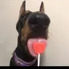 Kanyon Cobbs - @banyonbobbs - TikTok