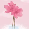 Ameskara - @ameskarashop - TikTok