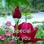 Christoper Luke Karayo Amessii - Facebook
