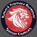 Karatê Itoupava Blumenau - @karate_itoupava_blumenau - Instagram