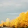Kara♡ - @kara.bolin - TikTok
