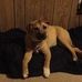 Kara Bowen - Facebook