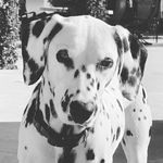 Kara Bowen Hendricks - @ohmaya101 - Instagram